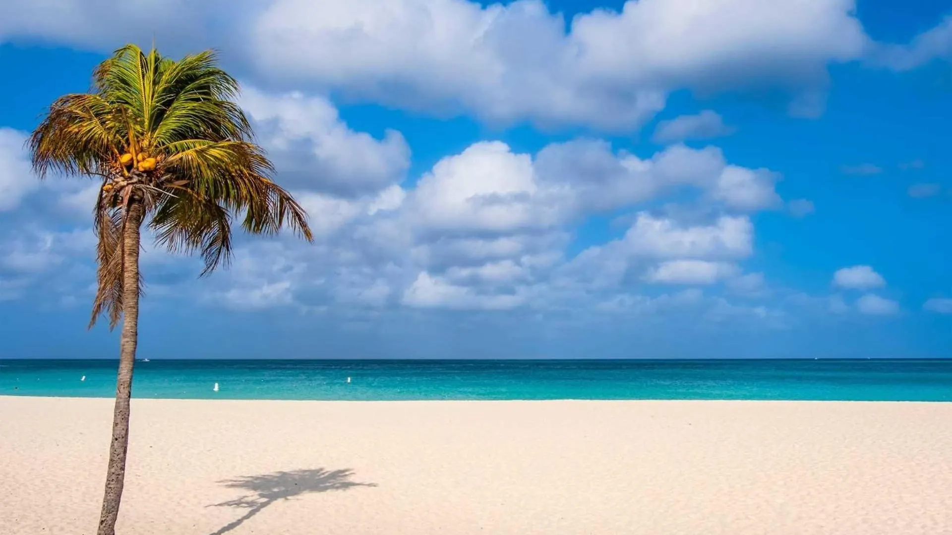公寓 Beachfront - Beach Garden Studio - E124-1 棕榈滩